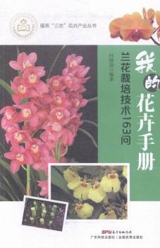 �ҵĻ����փ�(c��)���m�����༼�g(sh��)163��(w��n)