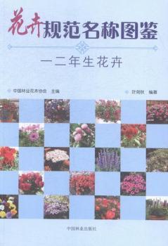 ����Ҏ(gu��)�����Q�D�b-һ����������