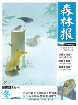 ɭ�ֈ�(b��o)���������Lȫ�g����