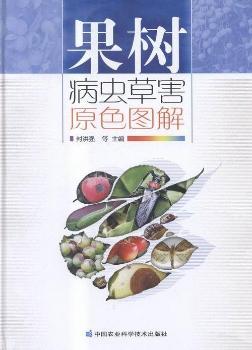 ���䲡�x�ݺ�ԭɫ�D��