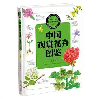 �Ї�(gu��)֮�� ��Ȼ���B(t��i)�D�b �Ї�(gu��)�^�p���܈D�b