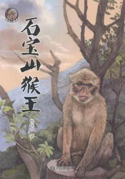 ������������ʯ��ɽ����