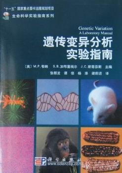 �z��׃���������ָ��