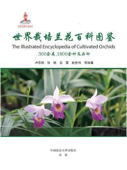 ���������m���ٿƈD�b:300���٣�1800��N��Ʒ�N