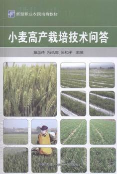 С���߮a���༼�g����