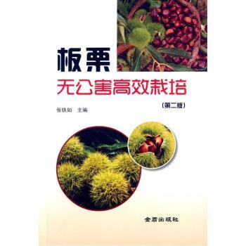 �����o������Ч����-(�ڶ���)